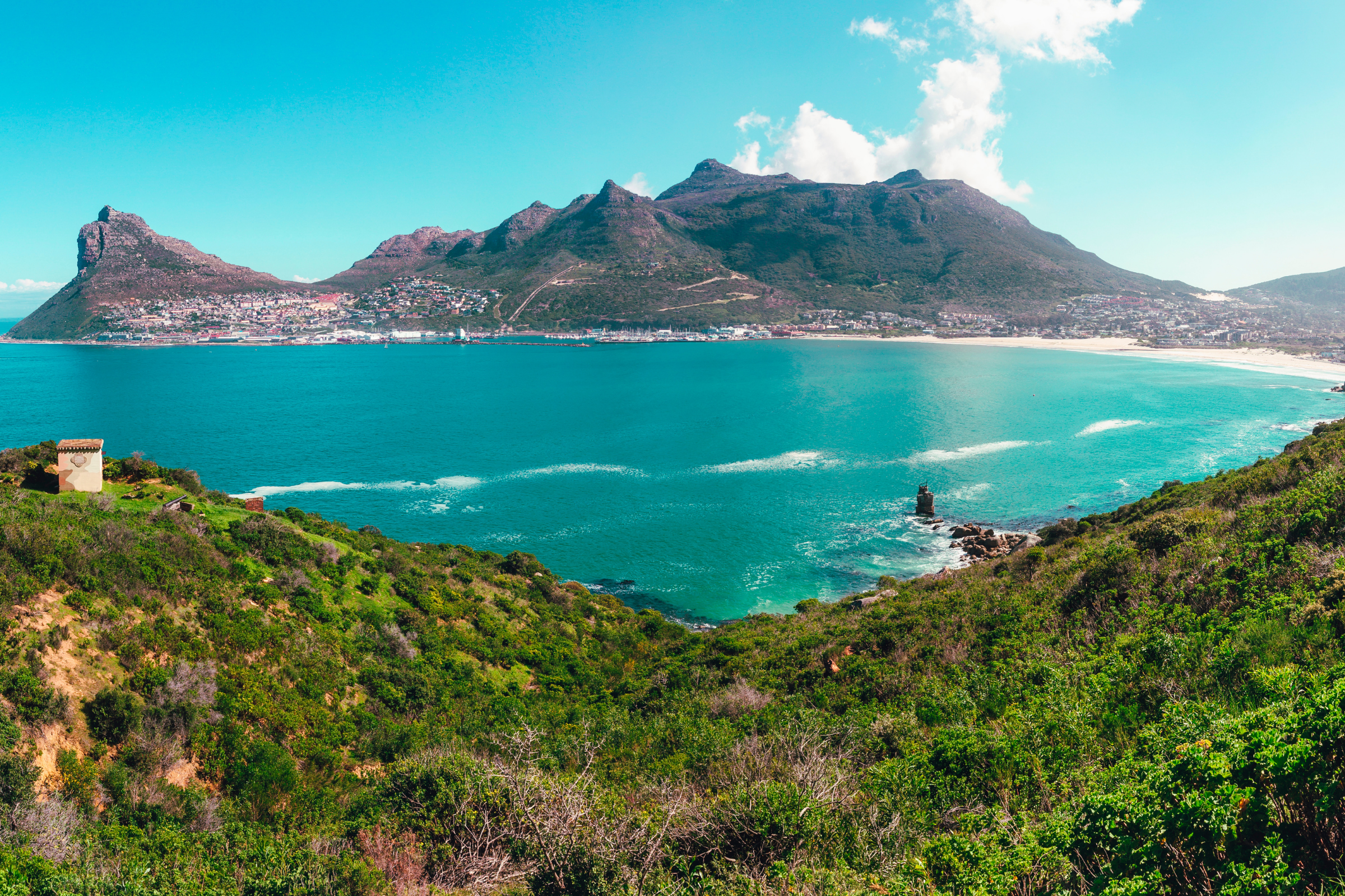 bird island.webp
